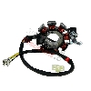 Stator for ATV Shineray Quad 200cc STIIE - STIIE-B, Shineray Parts ATV 200STIIE and STIIEB