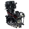 Engine for ATV Shineray Quad 250cc STXE 167FMM, Shineray Parts ATV 250 STXE