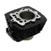 Cylinder 250 STXE, Shineray Parts ATV 250 STXE