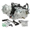 Engine EURO4 for Skyteam Monkey Gorilla 50cc, Skymini Monkey Gorilla Spare Parts