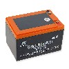BATTERY 12V12AH 6-DZF-12, ATV Parts Electric CRZ