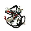 Wire Harness for Skyteam T-rex 50-125cc (after 08-2014), Trex Spare Parts Skyteam