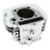 Stock Cylinder 125cc for Spare Parts Trex Skyteam, Trex Spare Parts Skyteam