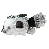 Engine 50cc Skyteam T-Rex, Trex Spare Parts Skyteam