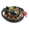 Stator for Chinese Scooter 125cc (type 2), Chinese scooter parts
