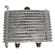 Radiator for Polini GP3