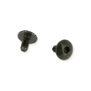 2 fairing screws M6x10 for ATV Bashan 300cc BS300S18