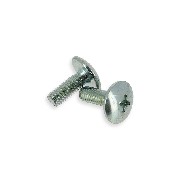 2 fairing screws M6x16 for ATV Bashan 300cc BS300S18