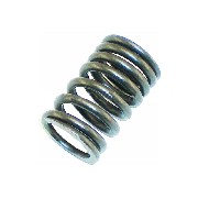 Outer Valve Spring for ATV Shineray Quad 200cc STIIE (14755-070-00)