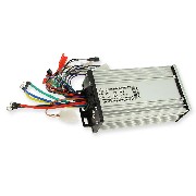Dimmer Controller 1000W Citycoco