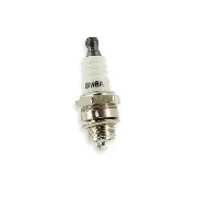 M6A Spark Plug for Stock Pocket Bike Engine