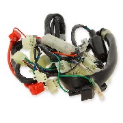 Wire Harness for Skyteam T-rex 125cc EURO4