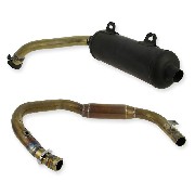 Exhaust for ATV Bashan Quad 250cc BS250AS-43