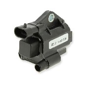 Ignition Coil for ATV Bashan Quad 250cc (BS250AS-43)