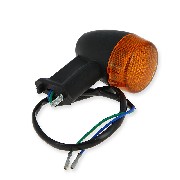 Rear Turn Signal for Citycoco