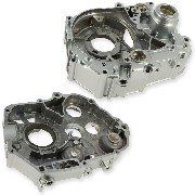 Crankcase Housing 125cc for Skyteam T-REX