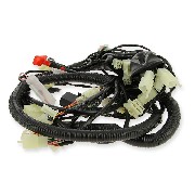 wiring harness (efi) for ATV Spy Racing 350F3