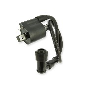 Ignition Coil for ATV Spy Racing 250 F1