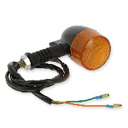 Rear Turn Signal for Citycoco(type2)
