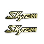 2 x SkyTeam logo plastic sticker for Bubbly tank