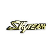 2 x SkyTeam logo plastic sticker for Cobra tank