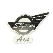 SkyTeam Ace sticker for Ace tank (left)