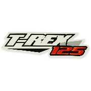 Trex-125cc sticker for Skyteam Trex (orange-black)