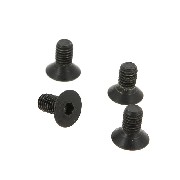 disc fixing screw for Citycoco (type3)