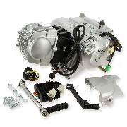 Engine EURO5 for Monkey Gorilla Skyteam Skymini 125cc
