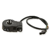 Left Switch Assembly for E-MINI Skyteam