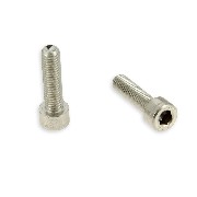 Pair of screws M8 30mm frame ATV (chromium)
