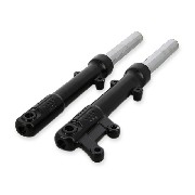 pair of fork arms for Citycoco (Black)