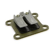 Reed Valve with carbon Blade for Pocket Bike