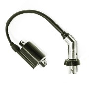 Ignition Coil for ATV Shineray Quad 300cc ST-4E - STE