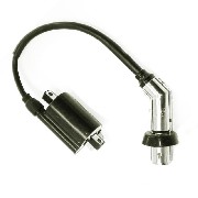 Ignition Coil for ATV Shineray Quad 300cc ST-4E - STE