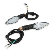 Pair of LED Turn Signals