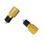Custom Handlebar End Plugs (type 6) - Gold