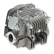 Cylinder Head + Hood (Lifan) for Dirt Bike 140cc 1P55FMJ