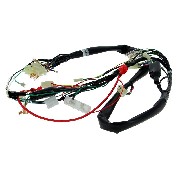 Wire Harness 36610-17H01 for Skymax 50cc 125cc (before 10-2015)
