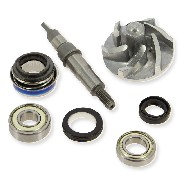 Water Pump Maintenance Kit for ATV Bashan Quad 250cc (BS250S-11)