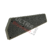 Foam Air Filter for Baotian Scooter BT49QT-9