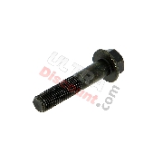 Screw M10x50 x 1.25