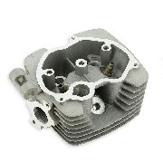 Cylinder Head for Dirt Bike 200cc (Zongshen)