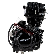 Engine for ATV Shineray Quad 200cc STIIE - STIIE-B 163FML