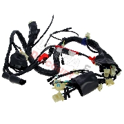 Wire Harness for ATV Shineray Quad 250cc STXE