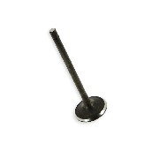 Exhaust Valve for ATV Shineray Quad 250cc STXE (Ø 28.5 mm)