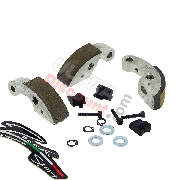 Zocchi Carbon Shoe Kit for 3-shoe Clutch