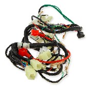 Wire Harness for Skyteam Ace Euro4 (after 10-2015)