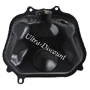 Fuel Tank for Baotian Scooter BT49QT-11