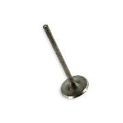 Exhaust Valve for ATV Bashan Quad 200cc (BS200S-3) (Ø 27 mm)